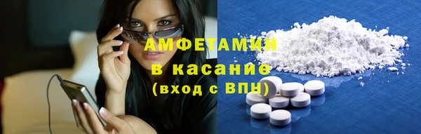 ECSTASY Богданович