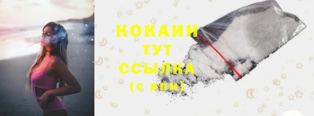 PSILOCYBIN Богородицк