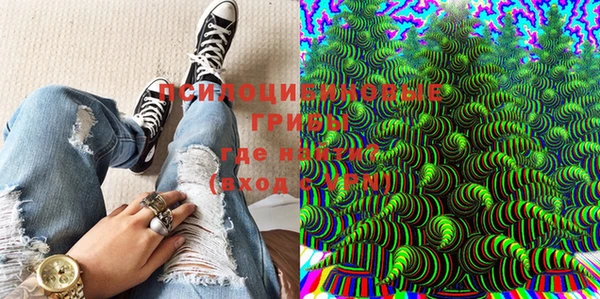 PSILOCYBIN Богородицк