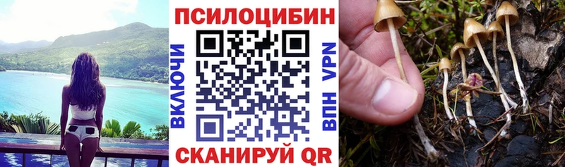 наркошоп Катав-Ивановск Псилоцибиновые грибы Magic Shrooms
